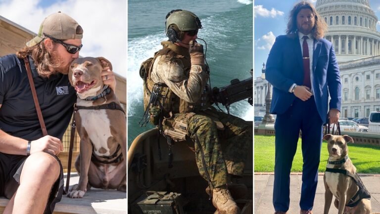 Service dogs offer ‘significant’ benefits for veterans with PTSD, study finds