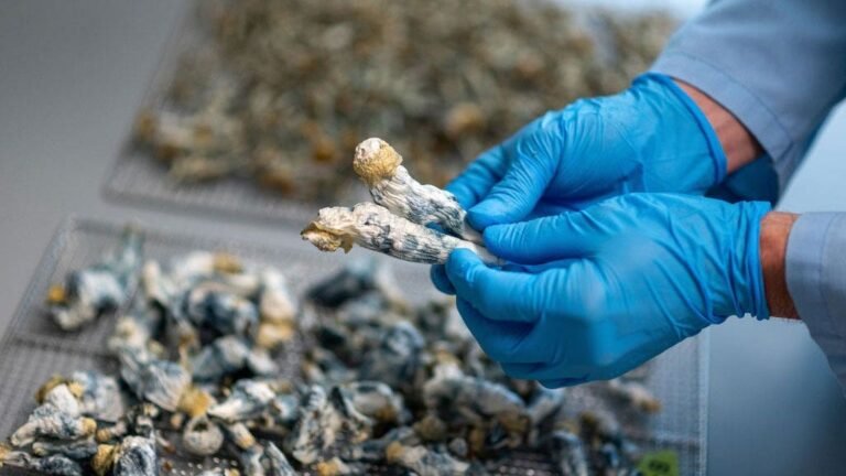 Psilocybin in magic mushrooms shows 5-year depression relief after single dose, study finds