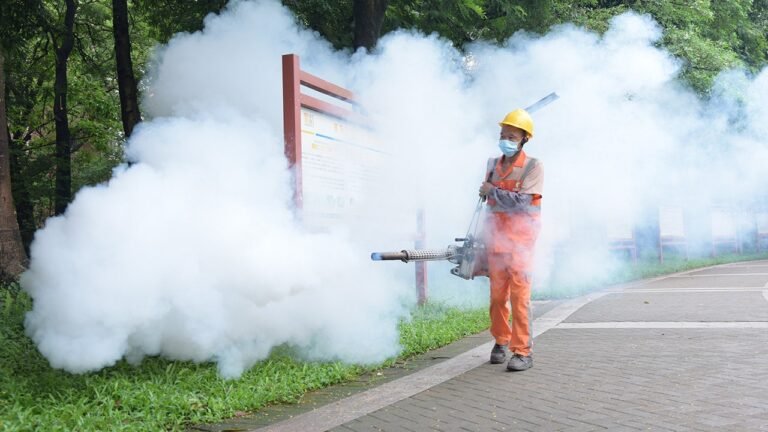 CDC warns Americans traveling to China as chikungunya virus is spreading rapidly