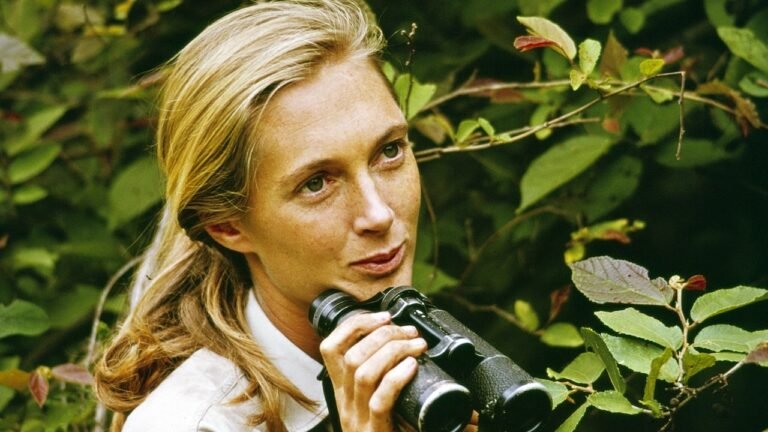 Jane Goodall’s cause of death revealed as cardiac arrest at age 91