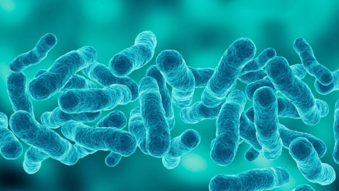 legionella-bacteria-scaled.jpg