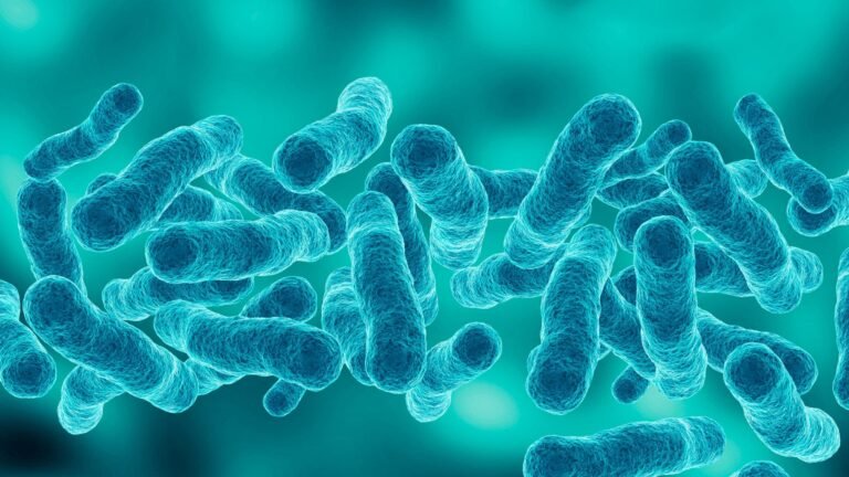 Legionnaires’ disease kills one in Manhattan’s Upper East Side outbreak